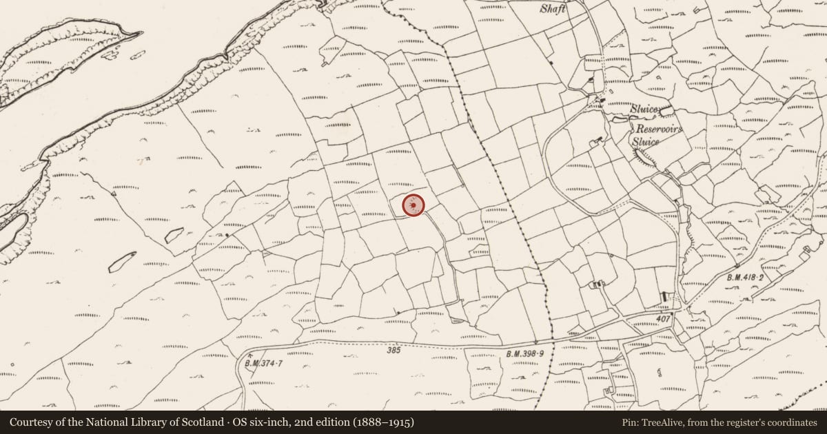 Ordnance Survey six-inch map, 2nd edition (1888–1915) covering the location of Ringfort - rath, Balteen (Carbery West (W.D.) By., Kilmore Par.), County Cork, with a pin at the register's coordinates