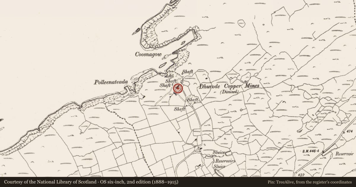 Ordnance Survey six-inch map, 2nd edition (1888–1915) covering the location of Mining complex, Carrigacat And Milleen, County Cork, with a pin at the register's coordinates