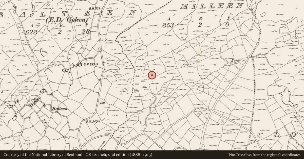 Ordnance Survey six-inch map, 2nd edition (1888–1915) covering the location of Burial ground, Carrigacat And Milleen, County Cork, with a pin at the register's coordinates