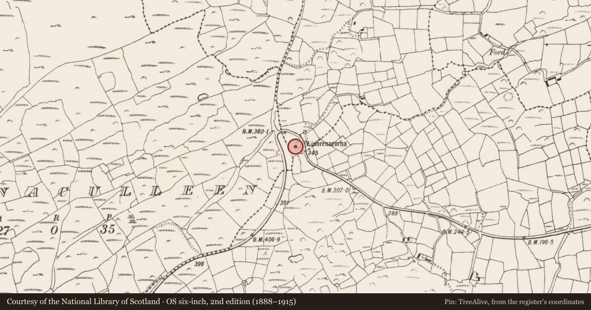 Ordnance Survey six-inch map, 2nd edition (1888–1915) covering the location of Barrow - ring-barrow, Kilbrown, County Cork, with a pin at the register's coordinates