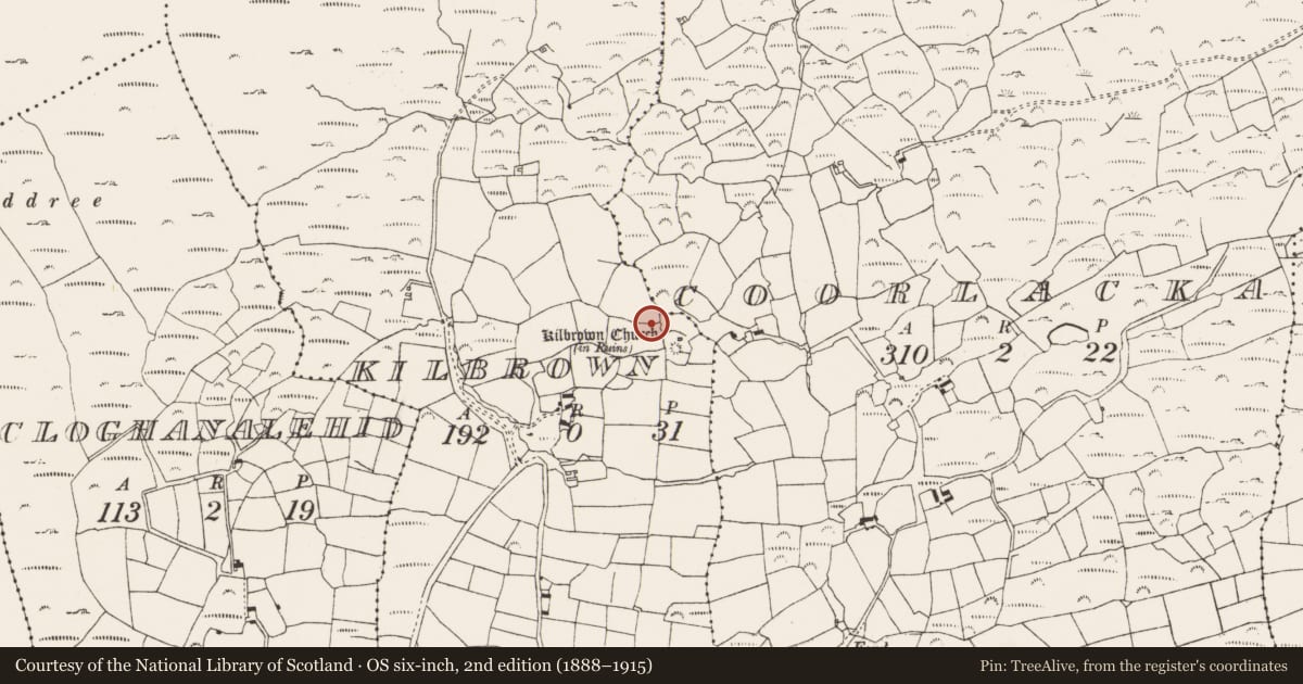 Ordnance Survey six-inch map, 2nd edition (1888–1915) covering the location of Ritual site - holy well, Kilbrown, County Cork, with a pin at the register's coordinates