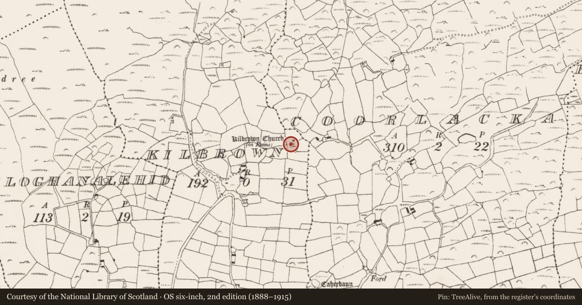 Ordnance Survey six-inch map, 2nd edition (1888–1915) covering the location of Bullaun stone, Kilbrown, County Cork, with a pin at the register's coordinates