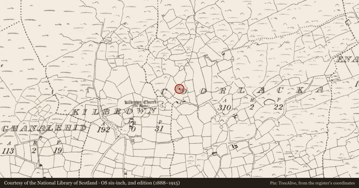 Ordnance Survey six-inch map, 2nd edition (1888–1915) covering the location of Standing stone, Coorlacka, County Cork, with a pin at the register's coordinates