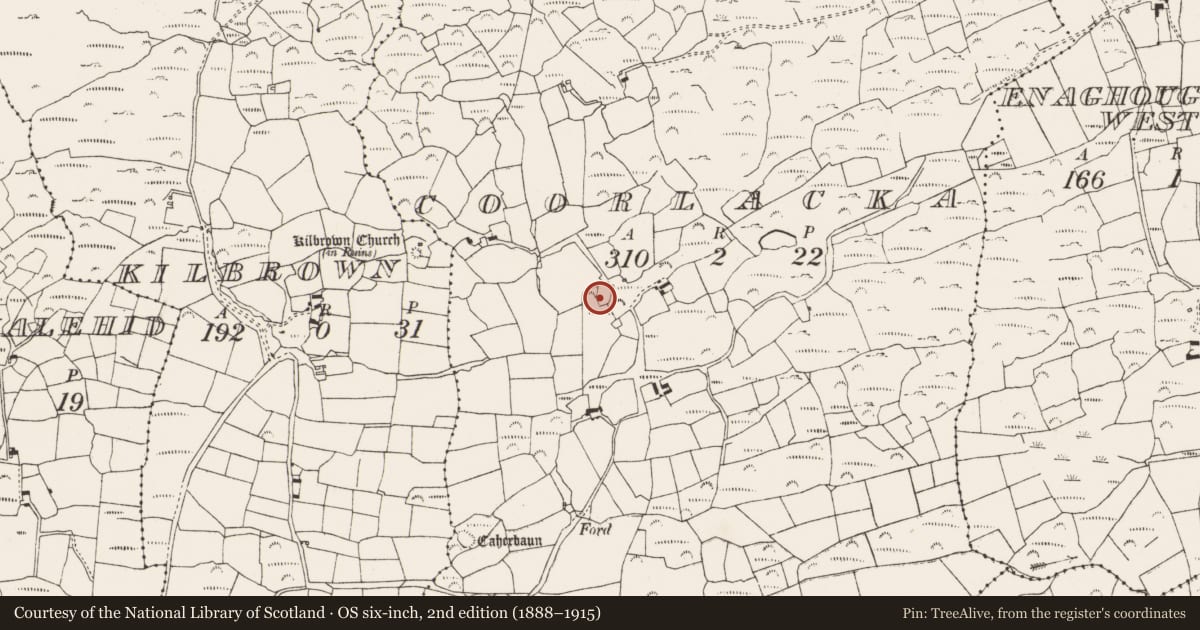 Ordnance Survey six-inch map, 2nd edition (1888–1915) covering the location of Ringfort - rath, Coorlacka, County Cork, with a pin at the register's coordinates