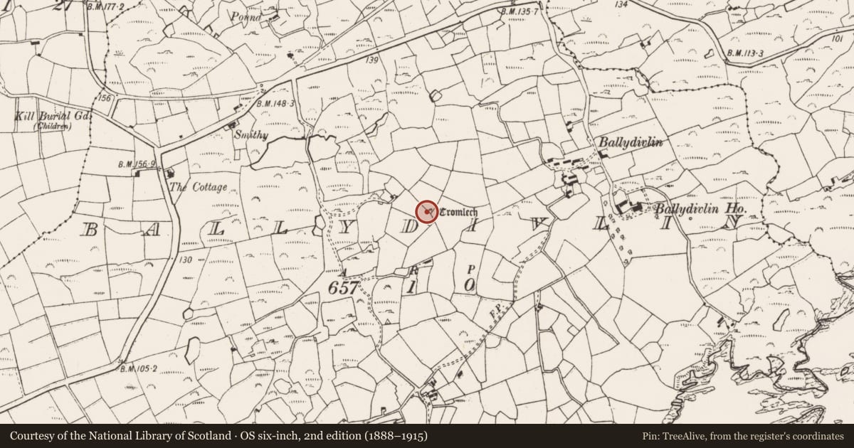Ordnance Survey six-inch map, 2nd edition (1888–1915) covering the location of Megalithic tomb - wedge tomb, Ballydivlin, County Cork, with a pin at the register's coordinates