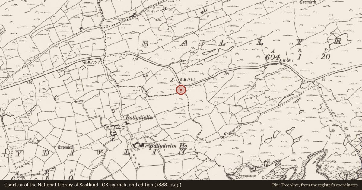 Ordnance Survey six-inch map, 2nd edition (1888–1915) covering the location of Burial ground, Ballyrisode, County Cork, with a pin at the register's coordinates