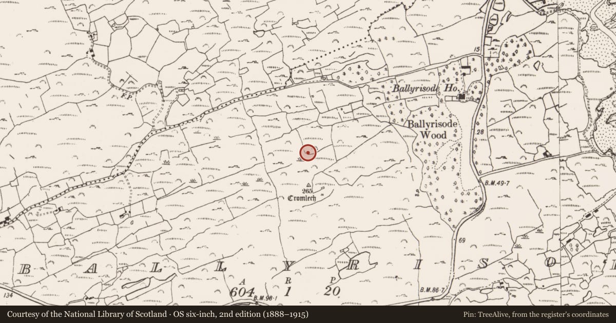Ordnance Survey six-inch map, 2nd edition (1888–1915) covering the location of Megalithic tomb - wedge tomb, Ballyrisode, County Cork, with a pin at the register's coordinates