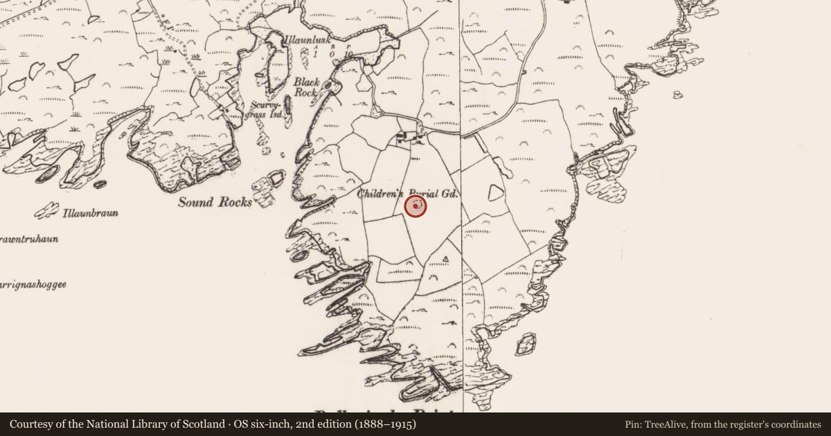 Ordnance Survey six-inch map, 2nd edition (1888–1915) covering the location of Burial ground, Ballyrisode, County Cork, with a pin at the register's coordinates