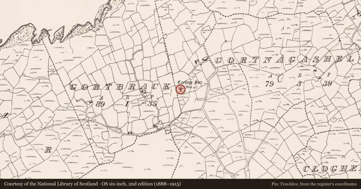 Ordnance Survey six-inch map, 2nd edition (1888–1915) covering the location of Ringfort - rath, Gortnacarriga, County Cork, with a pin at the register's coordinates