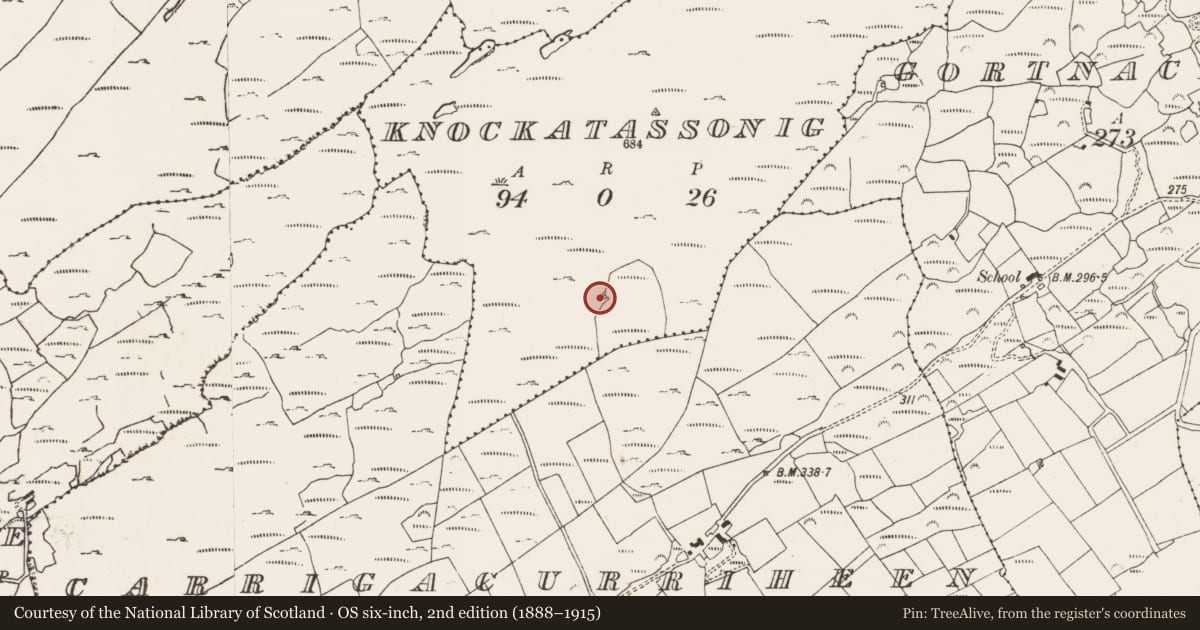 Ordnance Survey six-inch map, 2nd edition (1888–1915) covering the location of Booley hut, Knockatassonig, County Cork, with a pin at the register's coordinates