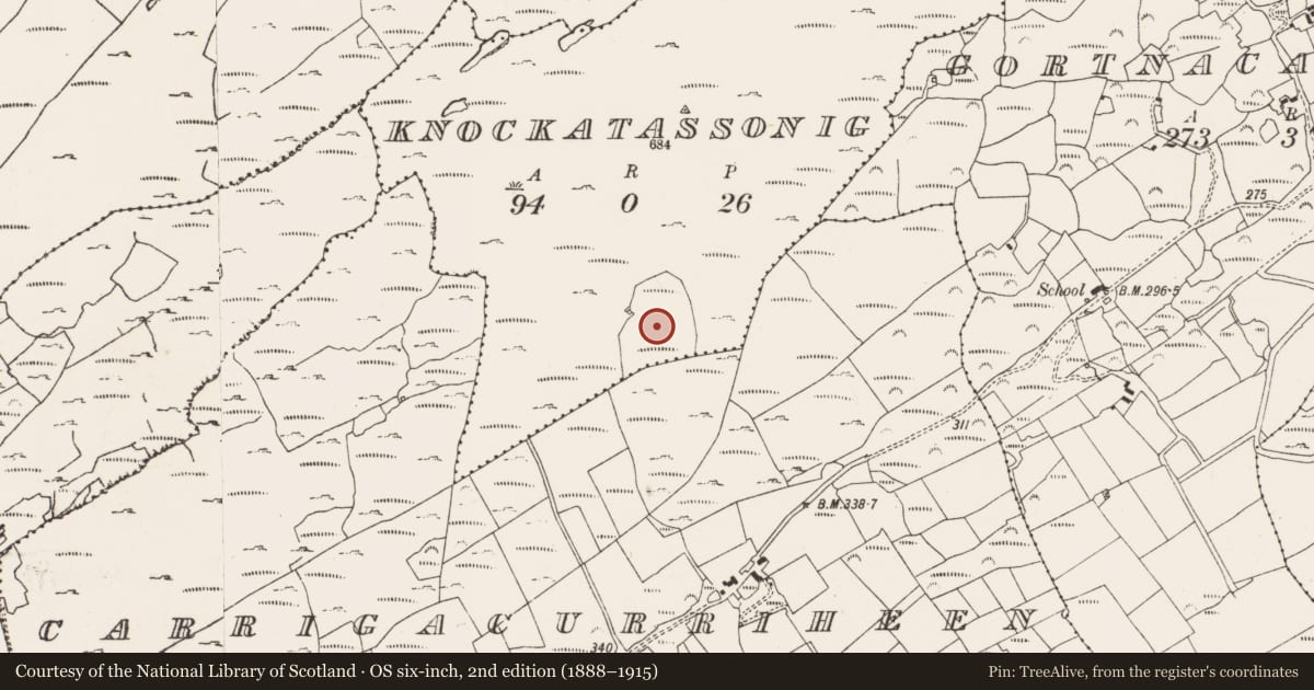 Ordnance Survey six-inch map, 2nd edition (1888–1915) covering the location of Enclosure, Knockatassonig, County Cork, with a pin at the register's coordinates