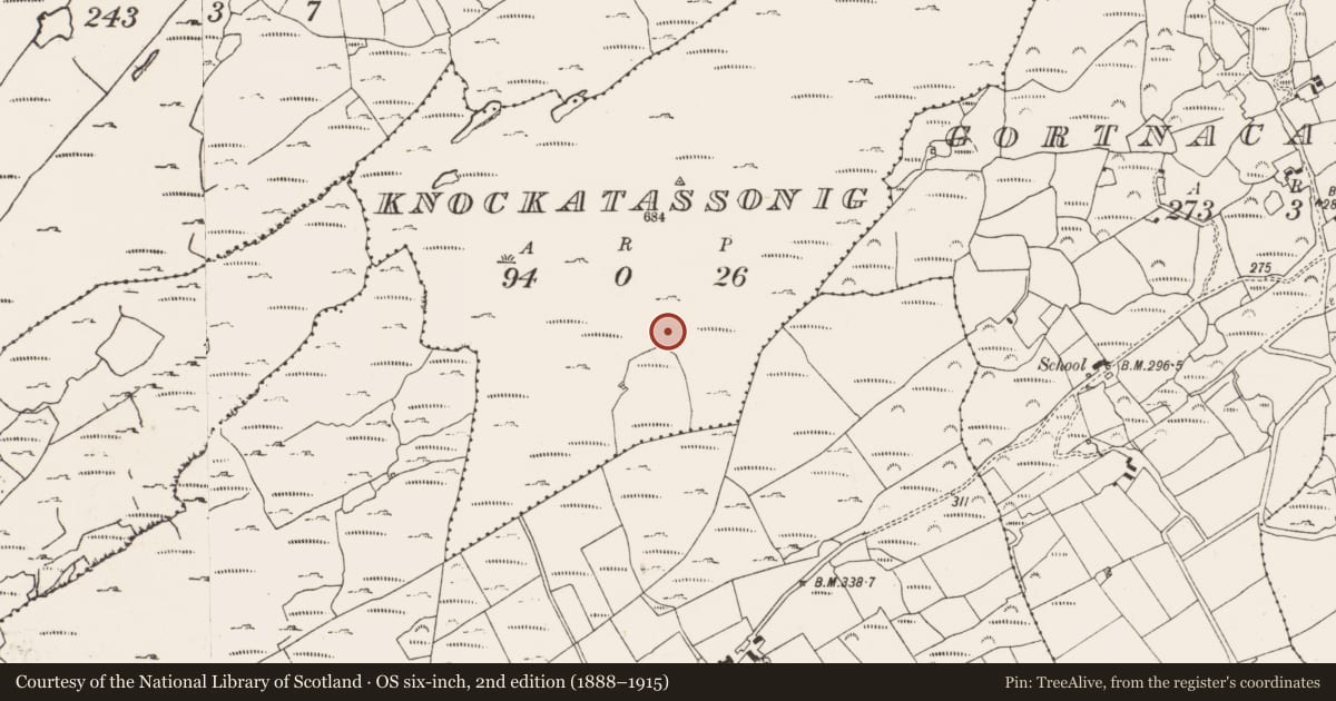 Ordnance Survey six-inch map, 2nd edition (1888–1915) covering the location of Cross-inscribed stone, Knockatassonig, County Cork, with a pin at the register's coordinates