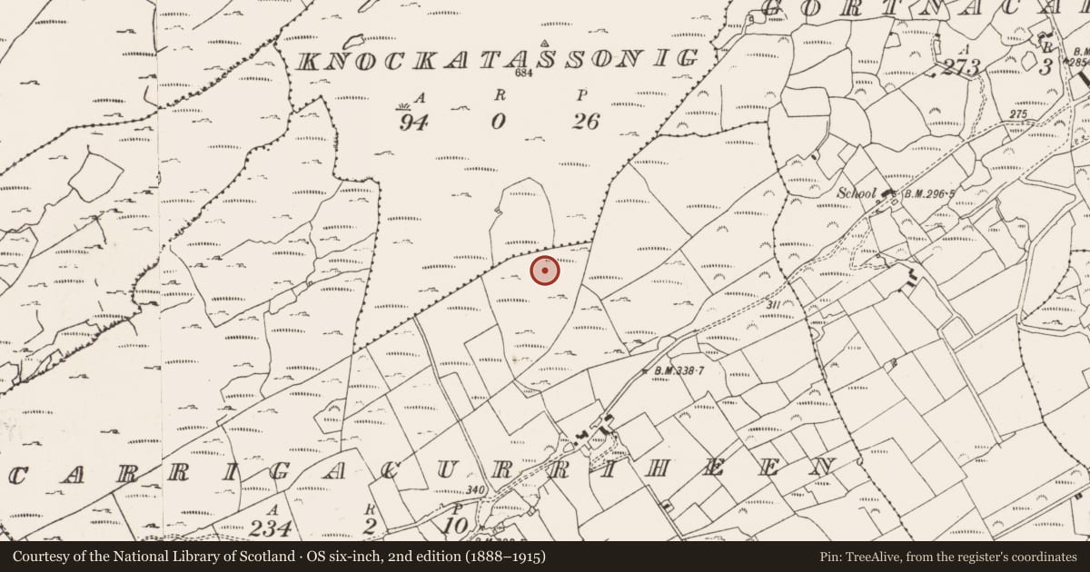 Ordnance Survey six-inch map, 2nd edition (1888–1915) covering the location of Booley hut, Carrigacurriheen, County Cork, with a pin at the register's coordinates
