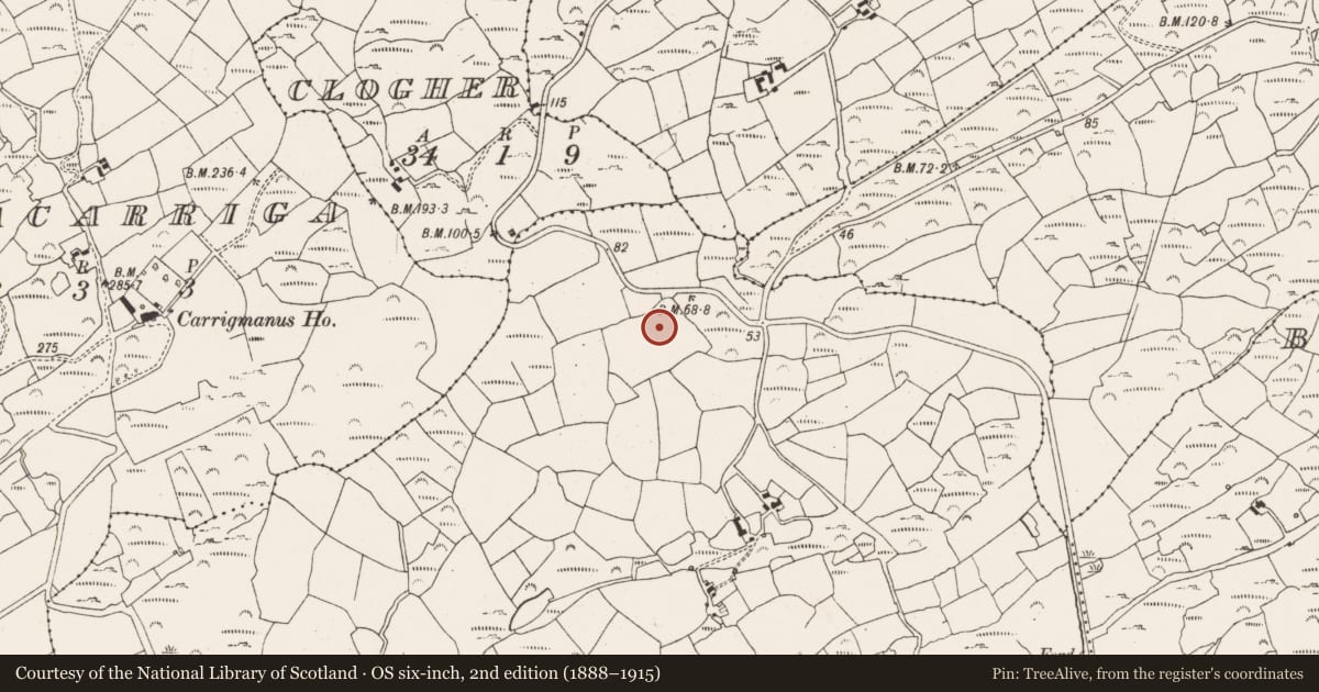 Ordnance Survey six-inch map, 2nd edition (1888–1915) covering the location of Standing stone, Lissagriffin, County Cork, with a pin at the register's coordinates