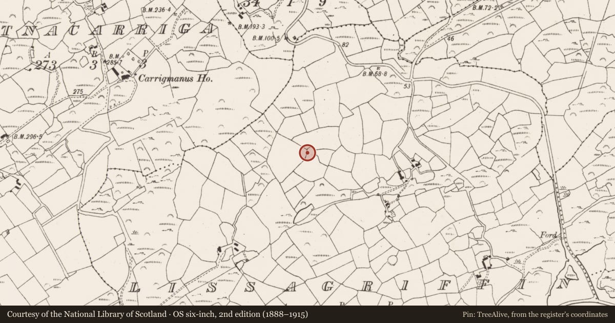Ordnance Survey six-inch map, 2nd edition (1888–1915) covering the location of Earthwork, Lissagriffin, County Cork, with a pin at the register's coordinates