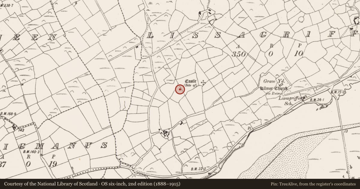 Ordnance Survey six-inch map, 2nd edition (1888–1915) covering the location of Burial, Lissagriffin, County Cork, with a pin at the register's coordinates