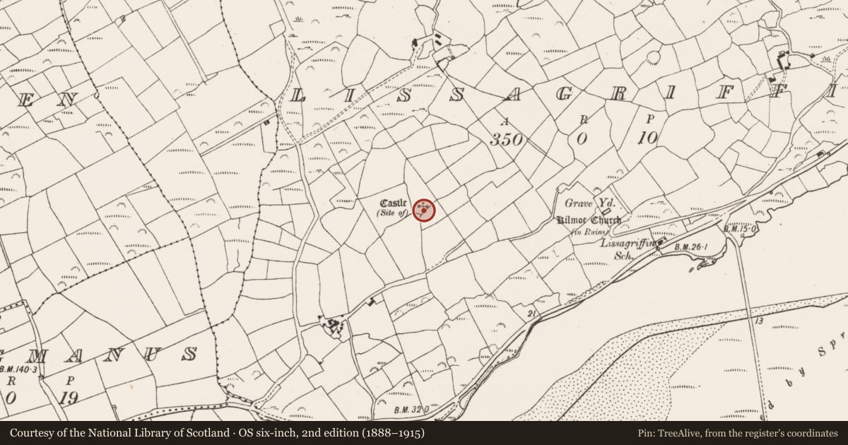 Ordnance Survey six-inch map, 2nd edition (1888–1915) covering the location of Castle - unclassified, Lissagriffin, County Cork, with a pin at the register's coordinates