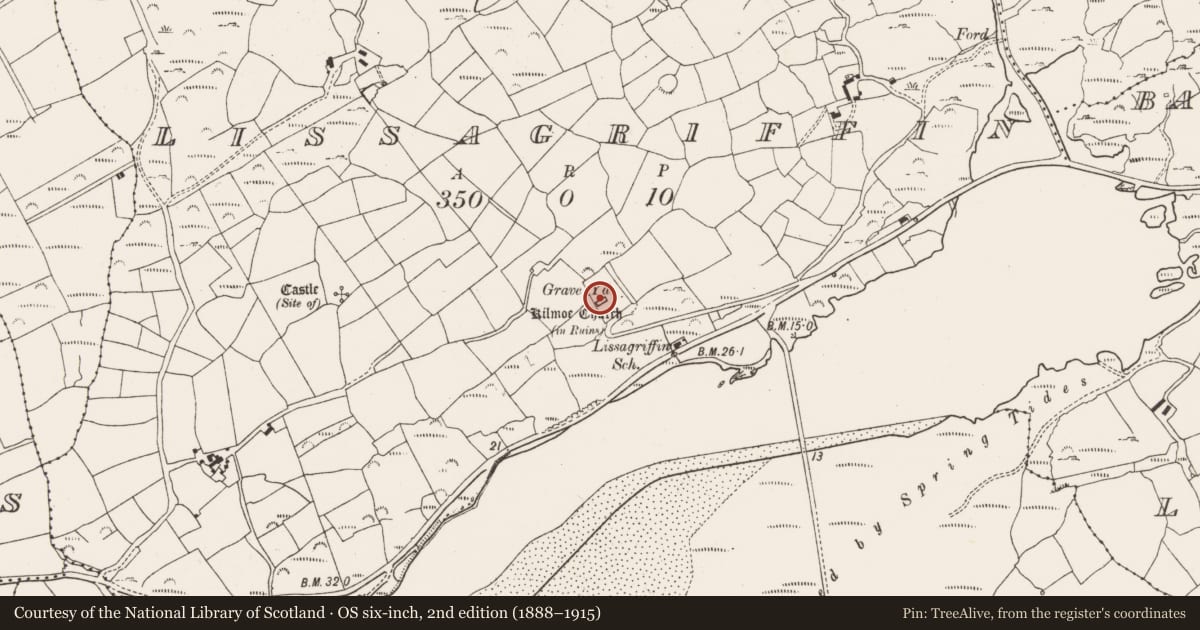 Ordnance Survey six-inch map, 2nd edition (1888–1915) covering the location of Graveyard, Lissagriffin, County Cork, with a pin at the register's coordinates