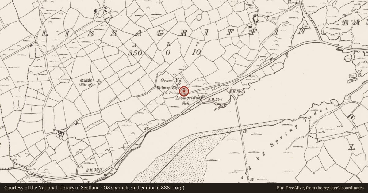 Ordnance Survey six-inch map, 2nd edition (1888–1915) covering the location of Bullaun stone, Lissagriffin, County Cork, with a pin at the register's coordinates