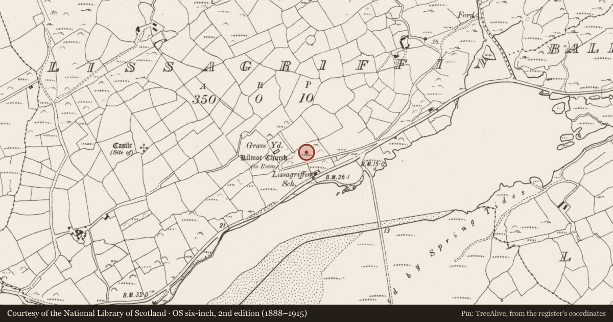 Ordnance Survey six-inch map, 2nd edition (1888–1915) covering the location of Cupmarked stone, Lissagriffin, County Cork, with a pin at the register's coordinates