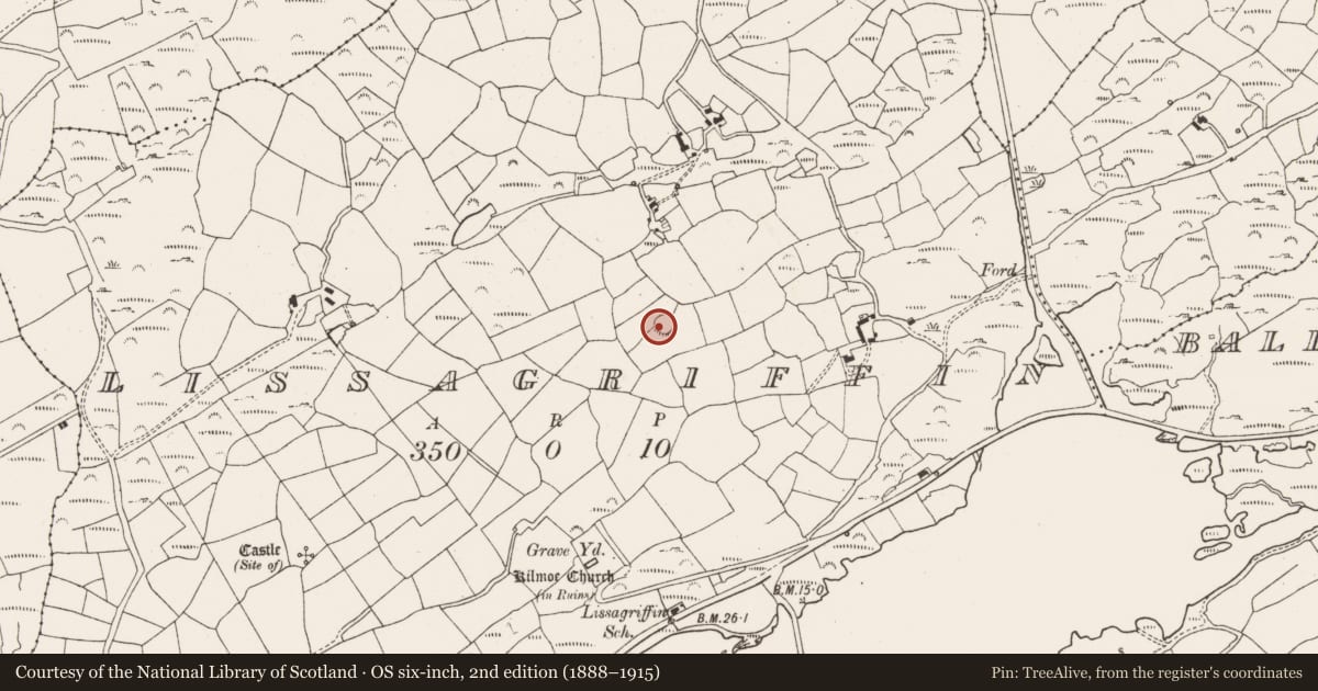 Ordnance Survey six-inch map, 2nd edition (1888–1915) covering the location of Ringfort - rath, Lissagriffin, County Cork, with a pin at the register's coordinates