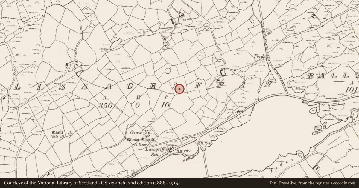 Ordnance Survey six-inch map, 2nd edition (1888–1915) covering the location of Standing stone, Lissagriffin, County Cork, with a pin at the register's coordinates