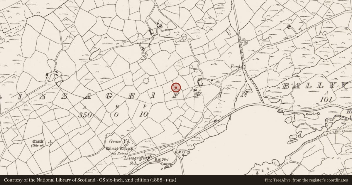 Ordnance Survey six-inch map, 2nd edition (1888–1915) covering the location of Burial ground, Lissagriffin, County Cork, with a pin at the register's coordinates