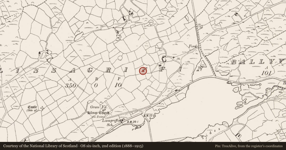 Ordnance Survey six-inch map, 2nd edition (1888–1915) covering the location of Standing stone, Lissagriffin, County Cork, with a pin at the register's coordinates