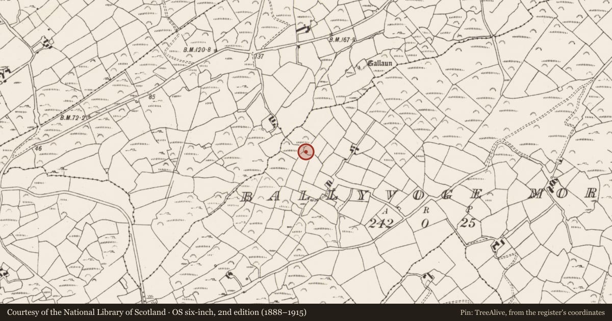 Ordnance Survey six-inch map, 2nd edition (1888–1915) covering the location of Ringfort - rath, Ballyvoge More, County Cork, with a pin at the register's coordinates