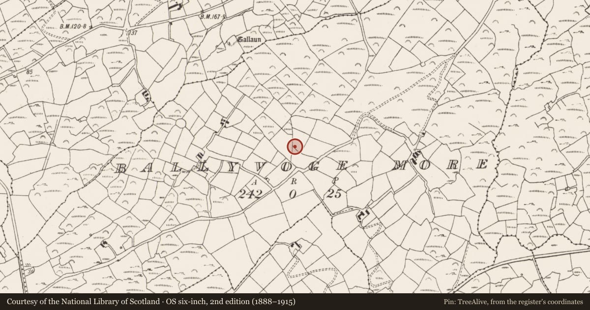 Ordnance Survey six-inch map, 2nd edition (1888–1915) covering the location of Standing stone, Ballyvoge More, County Cork, with a pin at the register's coordinates