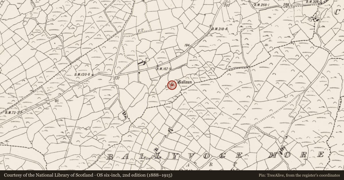 Ordnance Survey six-inch map, 2nd edition (1888–1915) covering the location of Standing stone, Cloghanaculleen, County Cork, with a pin at the register's coordinates