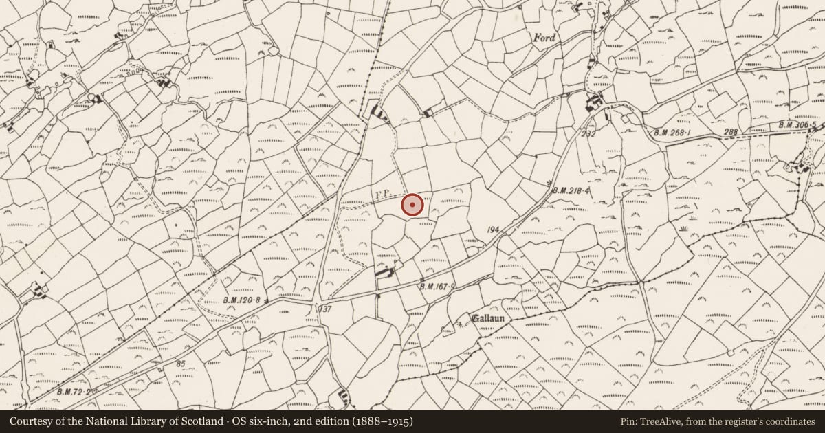 Ordnance Survey six-inch map, 2nd edition (1888–1915) covering the location of Burial ground, Cloghanaculleen, County Cork, with a pin at the register's coordinates