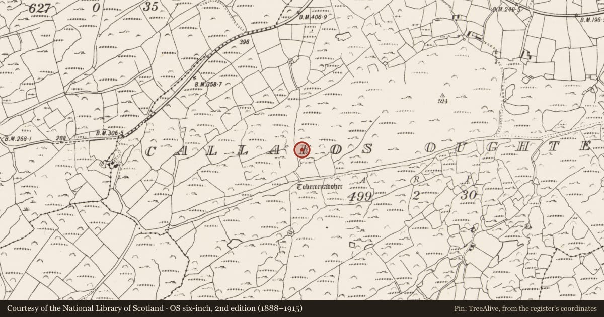 Ordnance Survey six-inch map, 2nd edition (1888–1915) covering the location of Mine - copper, Callaros Oughter, County Cork, with a pin at the register's coordinates