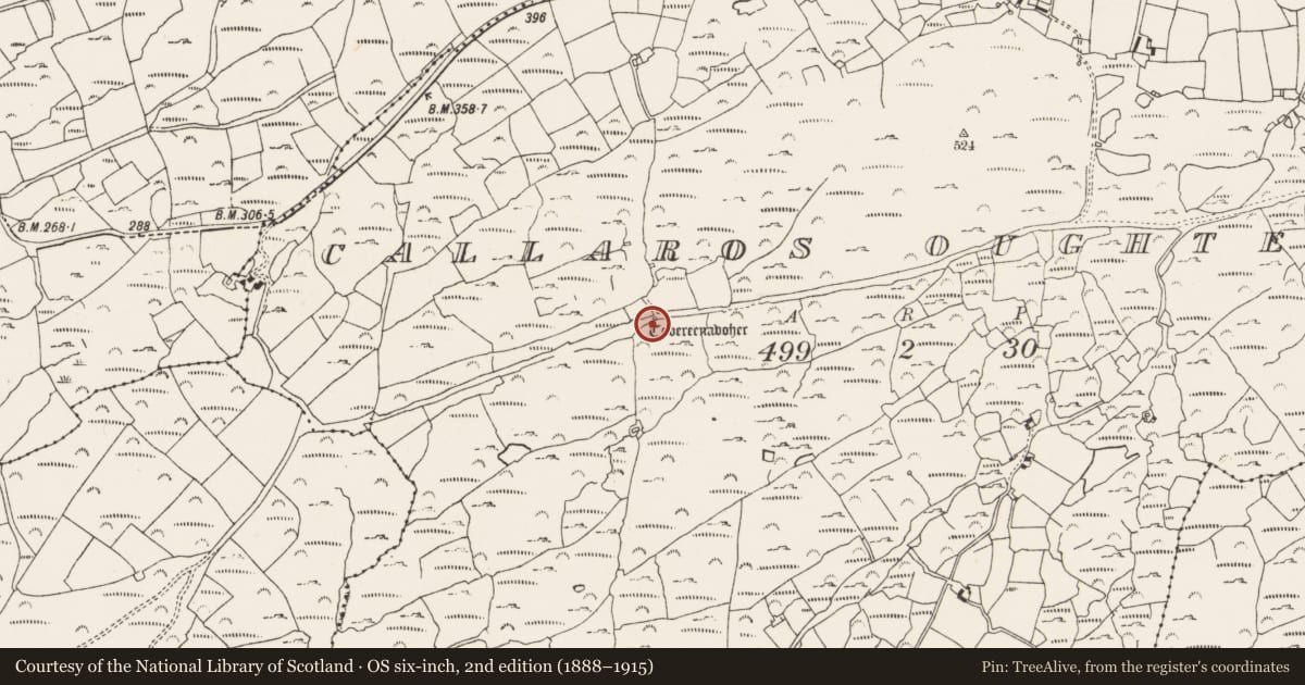 Ordnance Survey six-inch map, 2nd edition (1888–1915) covering the location of Ritual site - holy well, Callaros Oughter, County Cork, with a pin at the register's coordinates