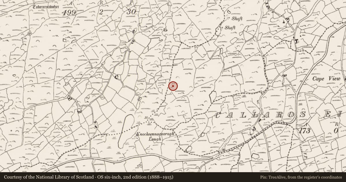Ordnance Survey six-inch map, 2nd edition (1888–1915) covering the location of Mine - copper, Boulysallagh, County Cork, with a pin at the register's coordinates