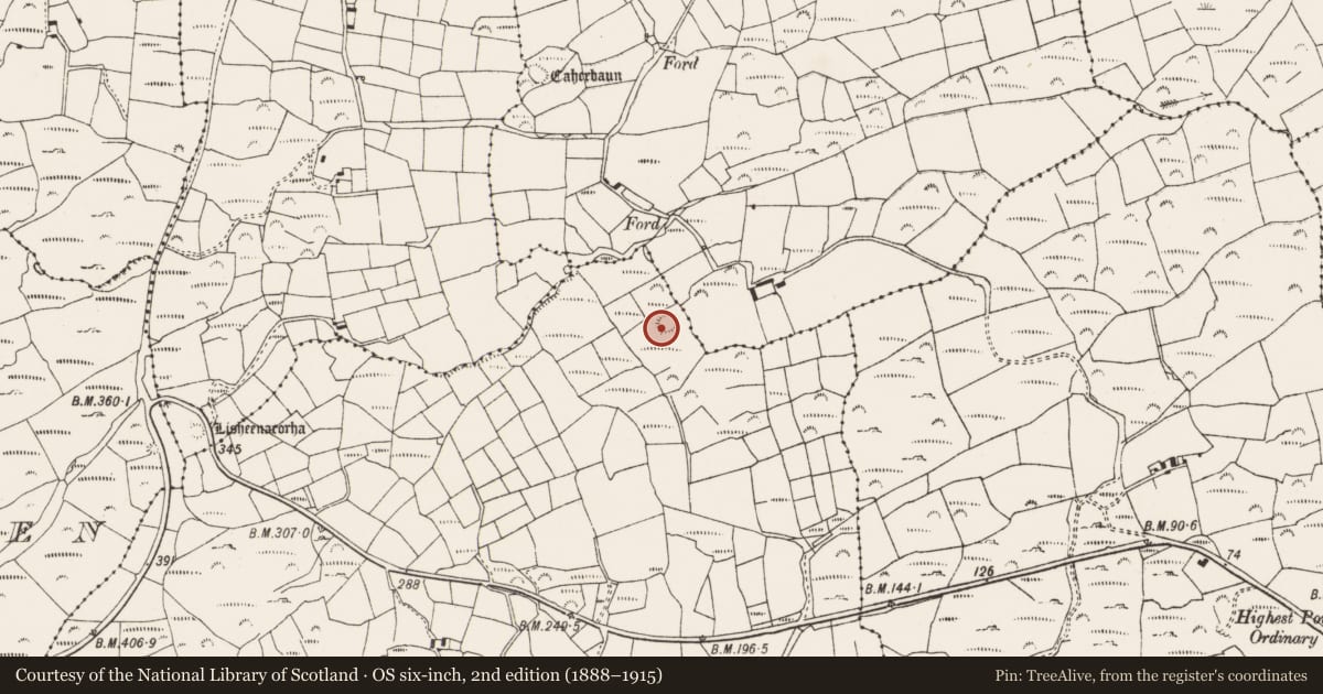 Ordnance Survey six-inch map, 2nd edition (1888–1915) covering the location of Ringfort - cashel, Callaros Oughter, County Cork, with a pin at the register's coordinates