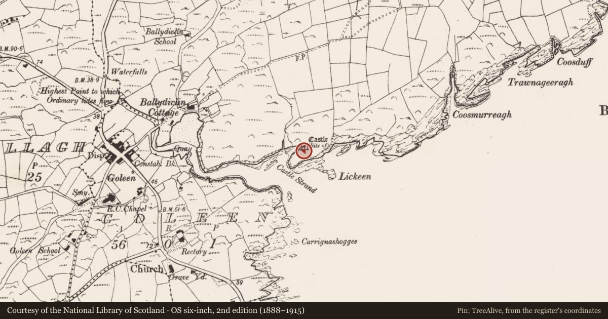 Ordnance Survey six-inch map, 2nd edition (1888–1915) covering the location of Castle - unclassified, Ballydivlin, County Cork, with a pin at the register's coordinates