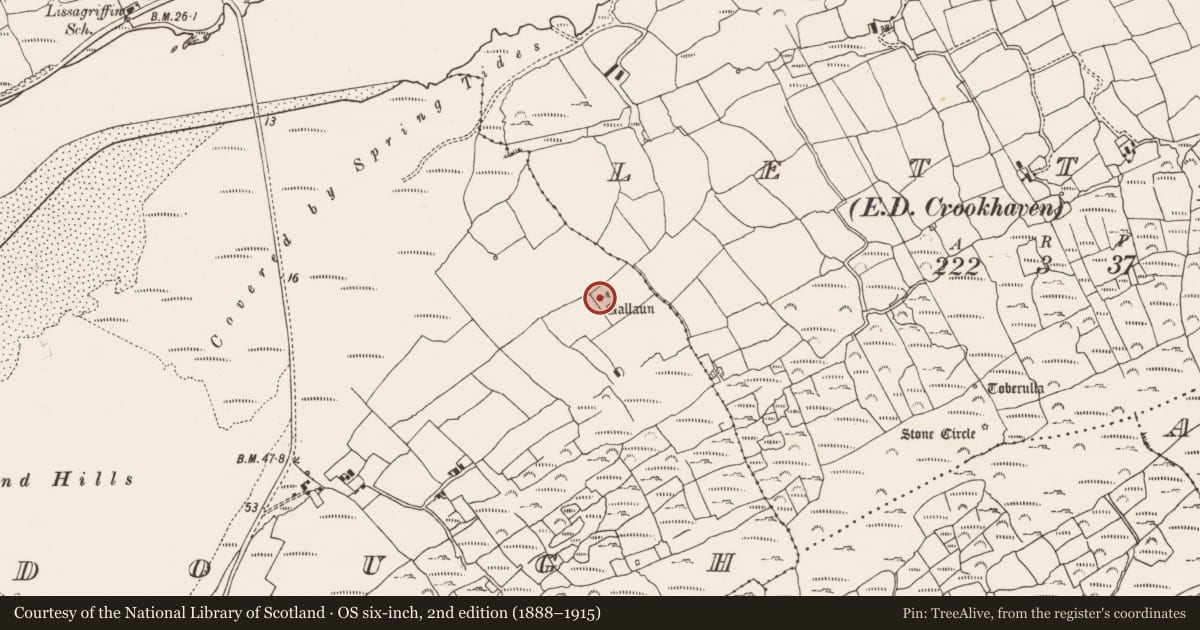 Ordnance Survey six-inch map, 2nd edition (1888–1915) covering the location of Standing stone, Dough, County Cork, with a pin at the register's coordinates