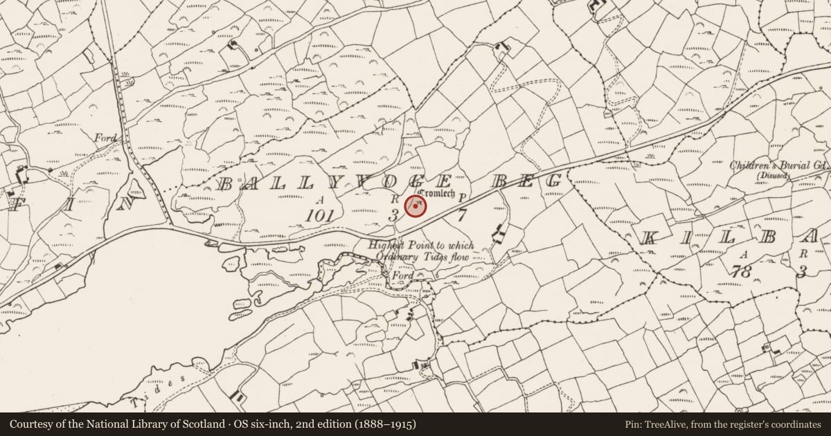 Ordnance Survey six-inch map, 2nd edition (1888–1915) covering the location of Megalithic tomb - wedge tomb, Ballyvoge Beg, County Cork, with a pin at the register's coordinates