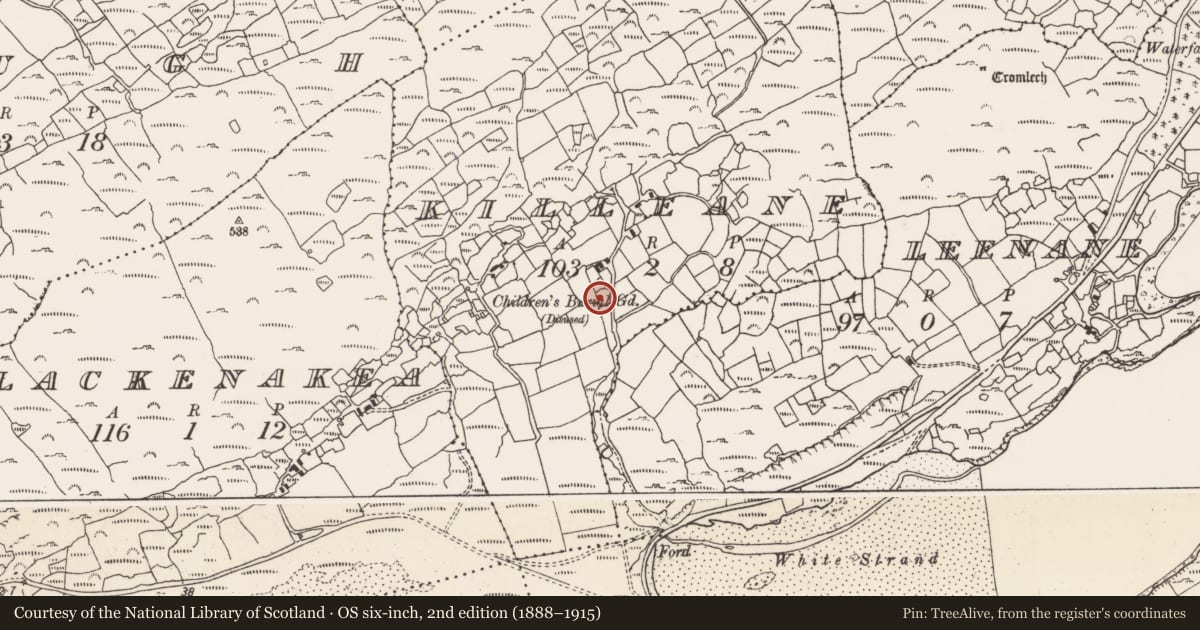 Ordnance Survey six-inch map, 2nd edition (1888–1915) covering the location of Burial ground, Killeane, County Cork, with a pin at the register's coordinates