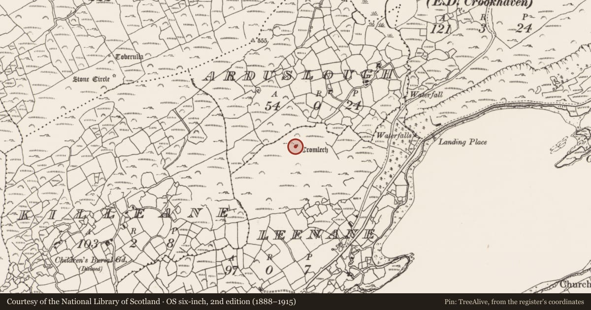 Ordnance Survey six-inch map, 2nd edition (1888–1915) covering the location of Megalithic tomb - wedge tomb, Leenane, County Cork, with a pin at the register's coordinates
