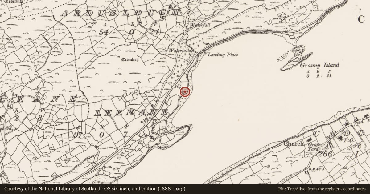 Ordnance Survey six-inch map, 2nd edition (1888–1915) covering the location of Fish palace, Leenane, County Cork, with a pin at the register's coordinates