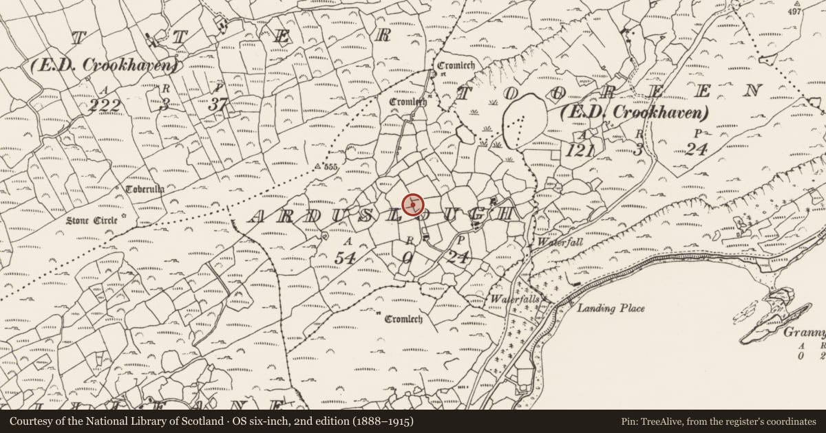 Ordnance Survey six-inch map, 2nd edition (1888–1915) covering the location of Rock scribing, Arduslough, County Cork, with a pin at the register's coordinates