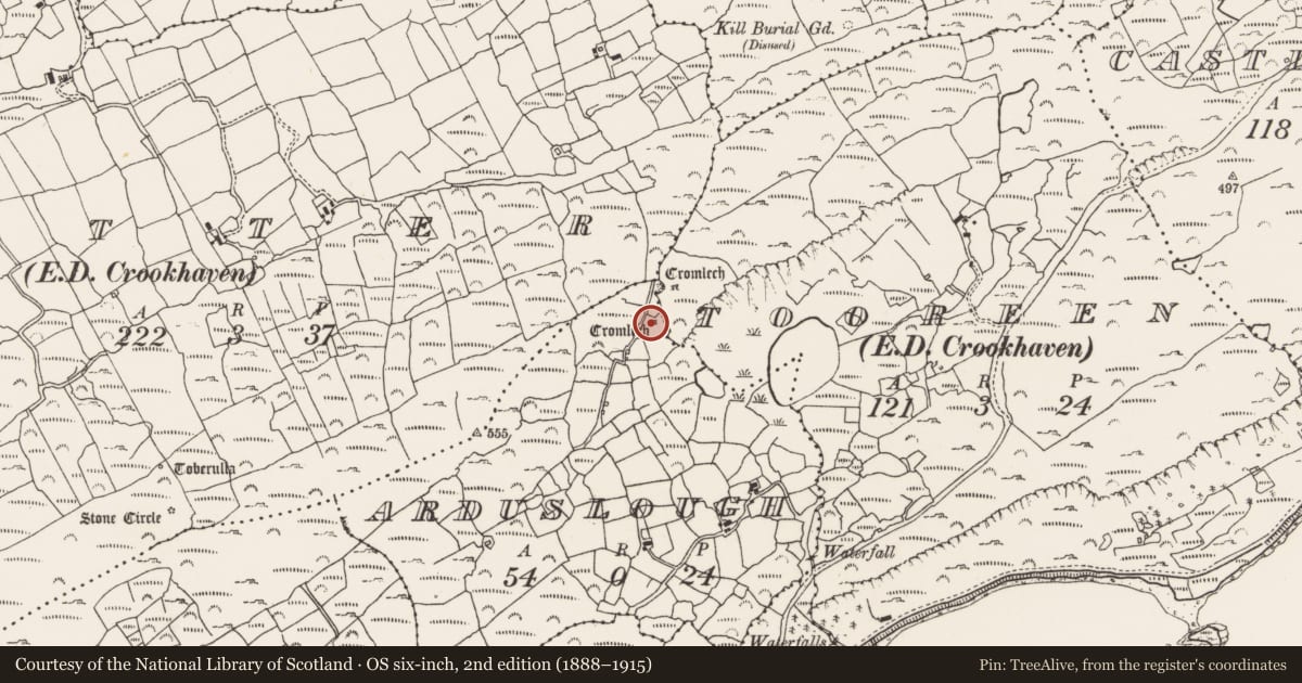 Ordnance Survey six-inch map, 2nd edition (1888–1915) covering the location of Megalithic tomb - wedge tomb, Arduslough, County Cork, with a pin at the register's coordinates