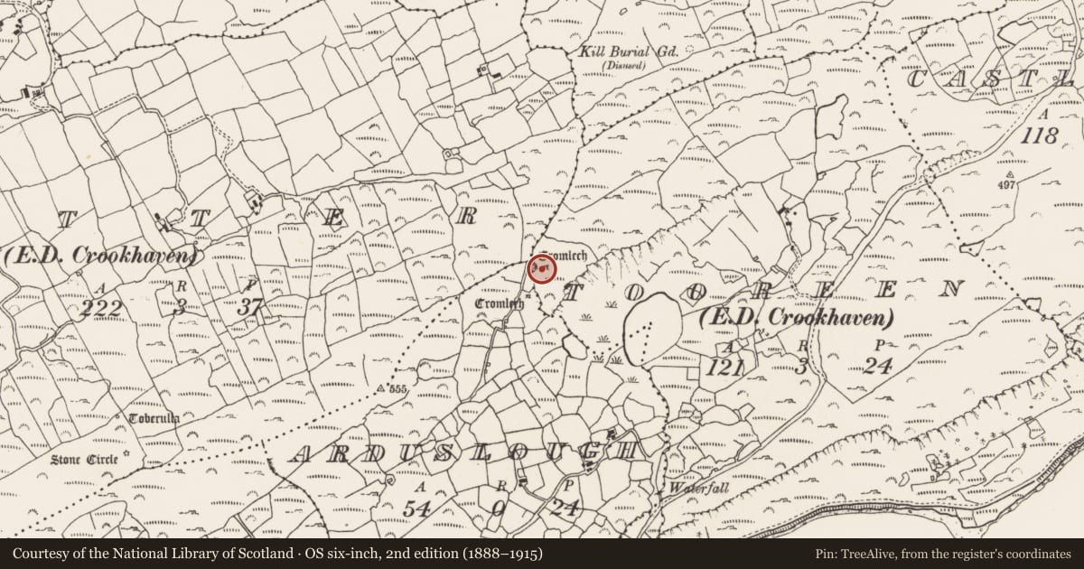 Ordnance Survey six-inch map, 2nd edition (1888–1915) covering the location of Megalithic tomb - wedge tomb, Tooreen, County Cork, with a pin at the register's coordinates