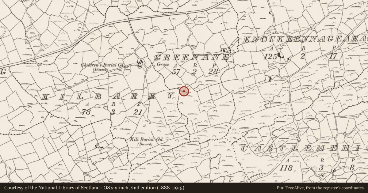 Ordnance Survey six-inch map, 2nd edition (1888–1915) covering the location of Fulacht fia, Greenane, County Cork, with a pin at the register's coordinates