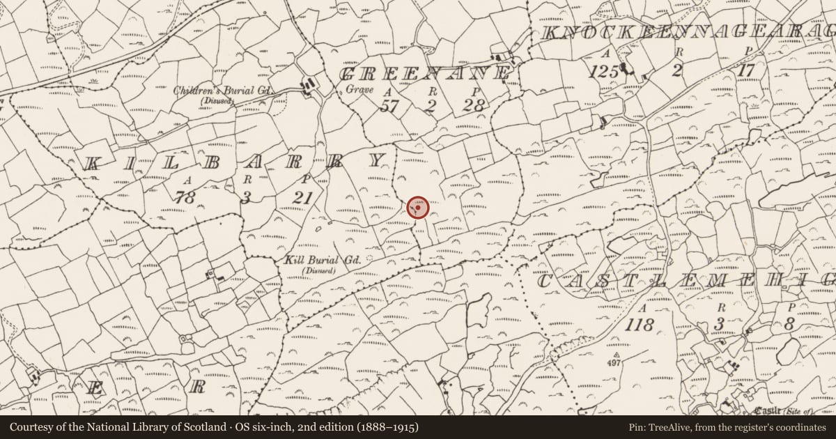 Ordnance Survey six-inch map, 2nd edition (1888–1915) covering the location of Structure, Greenane, County Cork, with a pin at the register's coordinates