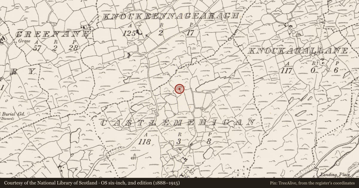 Ordnance Survey six-inch map, 2nd edition (1888–1915) covering the location of Cupmarked stone, Castlemehigan, County Cork, with a pin at the register's coordinates