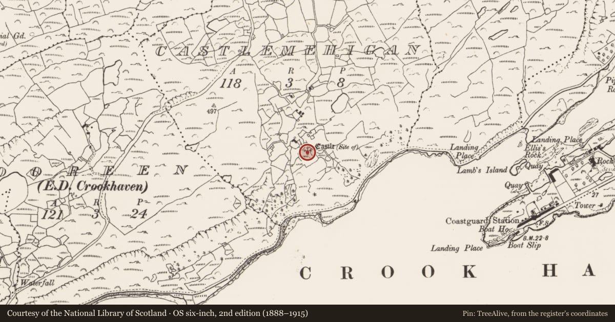 Ordnance Survey six-inch map, 2nd edition (1888–1915) covering the location of Castle - unclassified, Castlemehigan, County Cork, with a pin at the register's coordinates