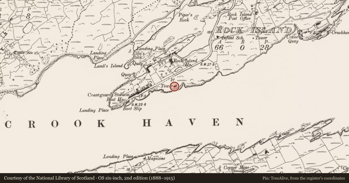 Ordnance Survey six-inch map, 2nd edition (1888–1915) covering the location of Designed landscape - belvedere, Rock Island, County Cork, with a pin at the register's coordinates